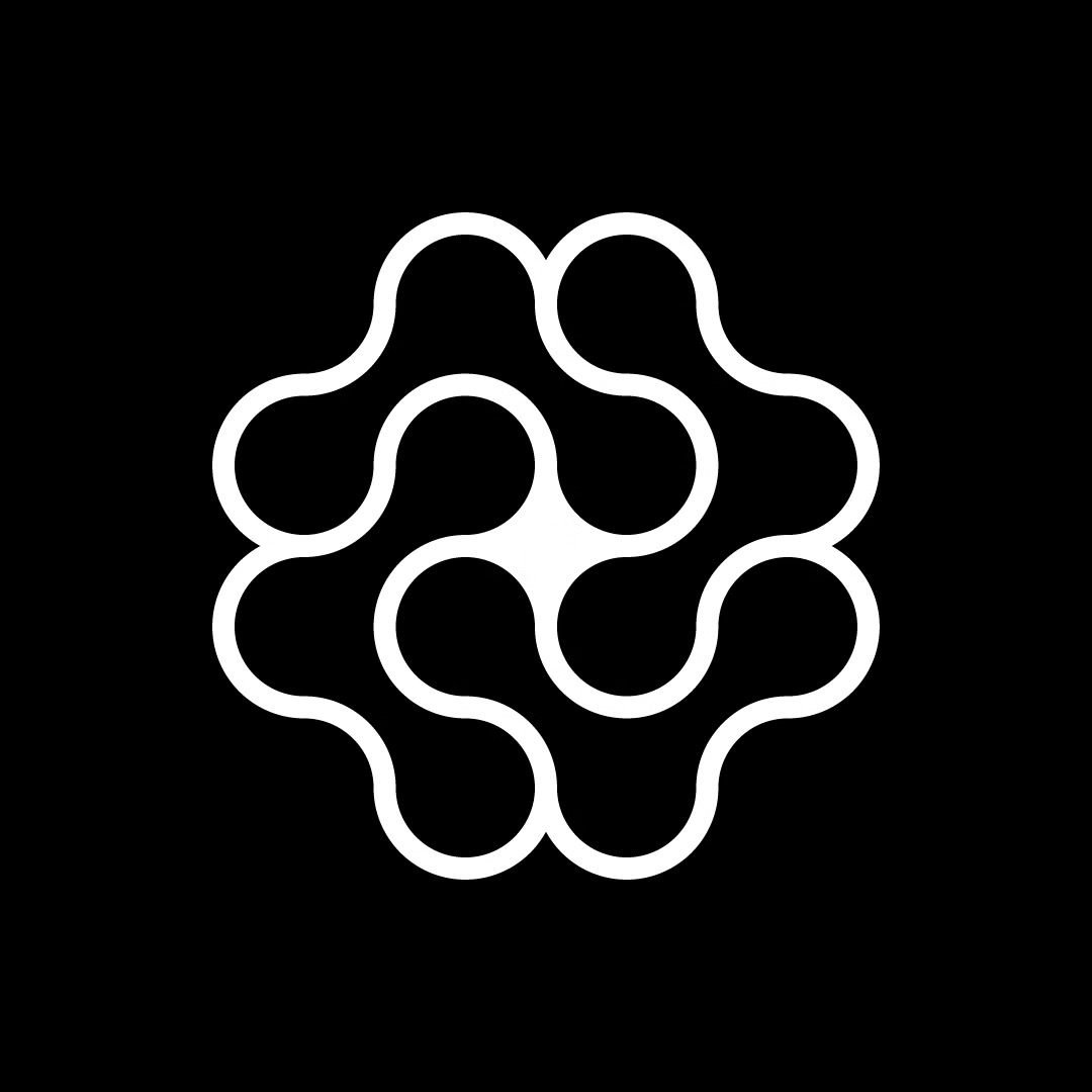 NOCTIS COLLECTIVE LLC